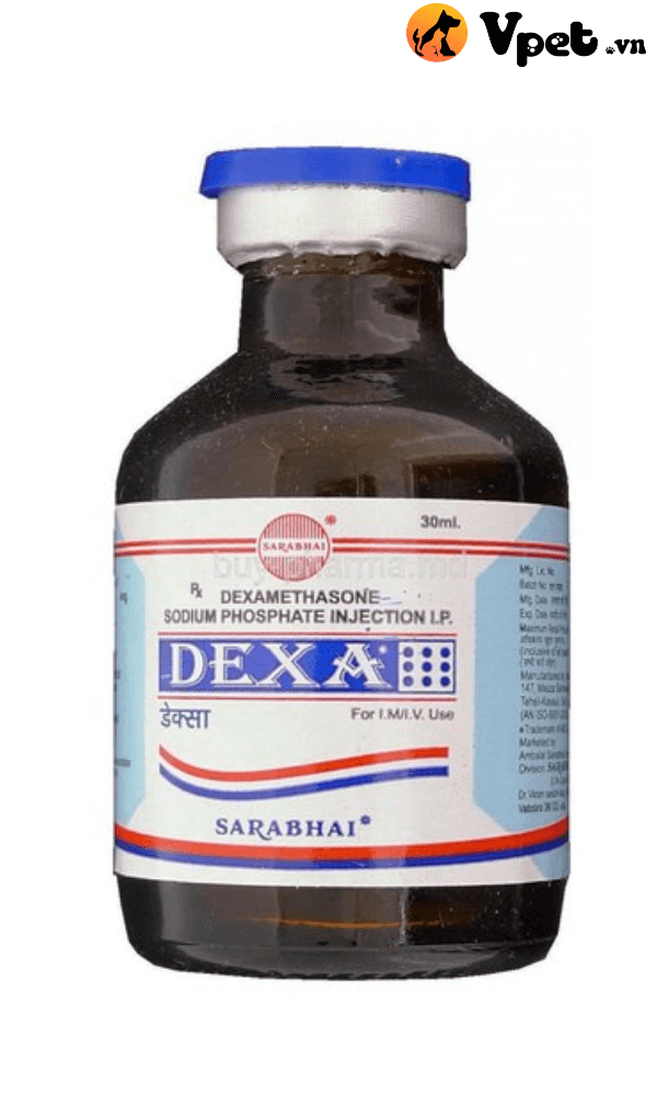 Thuốc Hi-Dexa inj