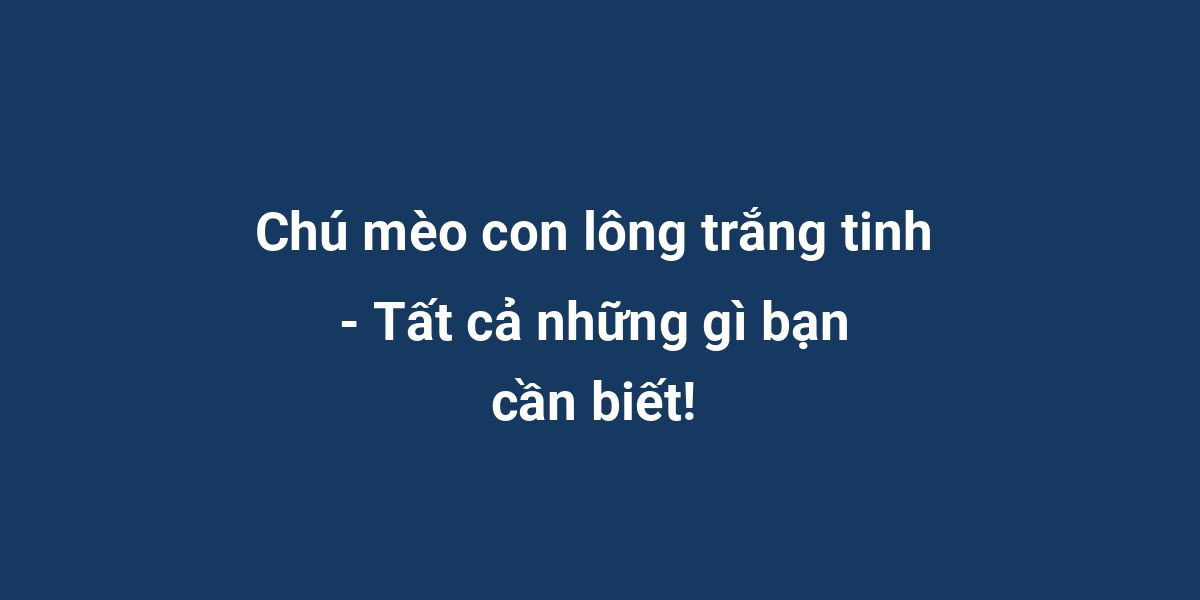 Chú Mèo Con Lông Trắng Tinh - Tất Cả Những Gì Bạn Cần Biết!