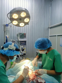 [Quảng Trị] - Bệnh viện thú y & Petshop Dongha Vet Quảng Trị Pet Hospital In Đông Hà City