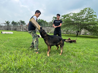 [Thành phố Hồ Chí Minh] - Trung tâm huấn luyện chó cảnh,chó nghiệp vụ Thiên Khuyển 2